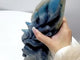 Unique Trolleite Large Nine-tailed Fox Carving