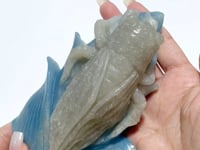 Trolleite Corn With Cicada Carving
