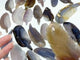 22 Pieces Beautiful Agate Feather Carving Closeout