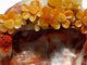3 Pieces Colorful Jasper Bowl Hand Carving Home Decor