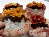 4 Pieces Beautiful Colorful Jasper Bowl Hand Carving Home Decor