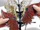 3 Pairs 8th Vein Ocean Jasper Butterfly Wing Carving With Stand #4