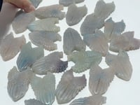 24 Pieces Trolleite Stone Wing Shield Carving Closeout
