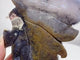 Large Agate Butterfly Carving With Stand