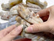 8 Pieces Agate Dragon Head Carving