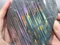 11 Pieces Purple Labradorite High Quality Polished Large Free Form