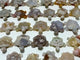 26 Pieces High Quality Sakura Flower Agate Sea Turtle Carving