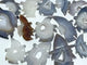 14 Pieces Geode Druzy Agate Geode Wizard Carving