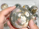 14 Pieces Ocean Jasper Spheres Balls
