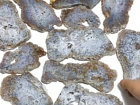 11 Pieces 6th Vein Ocean Jasper Slab