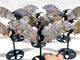 6 Pairs Ocean Jasper Flying Dragon Wing With Stand