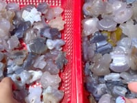 Geode Druzy Agate Frog Carving Wholesale