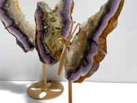 2 Pairs Fluorite Mixed Pyrite Butterfly Wing With Stand #1