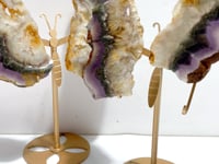 2 Pairs Fluorite Mixed Pyrite Butterfly Wing With Stand #4