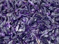 Raw Dog Tooth Amethyst Wholesale