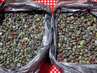 Dragon Blood Stone Gravel Chip Wholesale