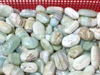 Green Calcite Palm Stone Wholesale Closeout
