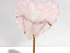 Unique Rose Quartz Heart Carving With Stand