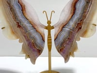 Unique Stripe Agate Mixed Amethyst Butterfly Wing Carving With Stand
