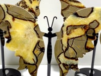 3 Pairs Septarian Butterfly Wing Carving With Stand #4