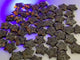 3CM Yooperlite Star Wholesale(UV-Reactive)
