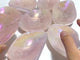 8 Pieces Aura Rose Quartz Bowl Carving