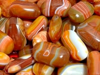 Stripe Carnelian Palm Wholesale