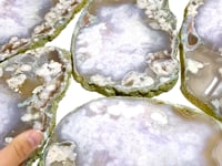 5 Pieces Beautiful Large Green Sakura Flower Agate Slabs