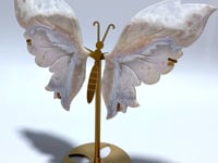 Sakura Flower Agate Butterfly Wing Carving With Stand