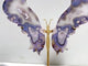 Beautiful Sakura Flower Agate Butterfly Wing Carving With Stand
