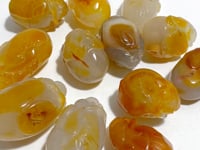 12 Pieces Beautiful Agate Tiger Carving