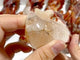9 Pieces Carnelian Dragon Head Carving