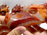 7 Pieces Carnelian Dragon Head Carving
