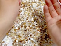 Mother of Pearl Shell Gravel Chips Wholesale