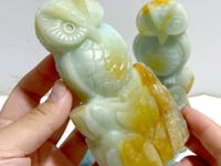 3 Pieces Caribbean Calcite Owl Carving