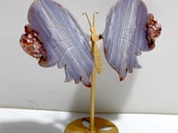 Beautiful Symmetric Agate Butterfly Wing Carving With Stand