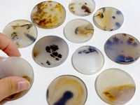 11 Pieces Natural Rare Scenic Dendritic Agate Stone