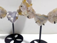 2 Pairs Sakura Flower Agate Heart Wing Carving With Stand