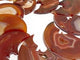 9 Pieces Large Carnelian Moon Face Carving Closeout