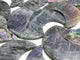 16 Pieces Beautiful Large Labradorite Moon Carving