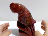 Large Ocean Jasper Parrot Carving