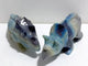2 Pieces Trolleite Stone Triceratops Three-horned Dinosaur Crystal Carving