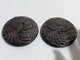 Silver Sheen Obsidian Phoenix Carving Wholesale