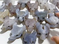 19 Pieces Geode Druzy Agate Fox Head Carving
