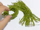 Peridot Chip Bracelets Wholesale