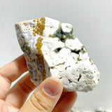 Rough Shape Polished 8th Vein Ocean Jasper Wholesale - Wholesale Crystals