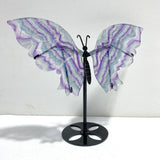 Symmetry Fluorite Butterfly Wing With Stand - Wholesale Crystals