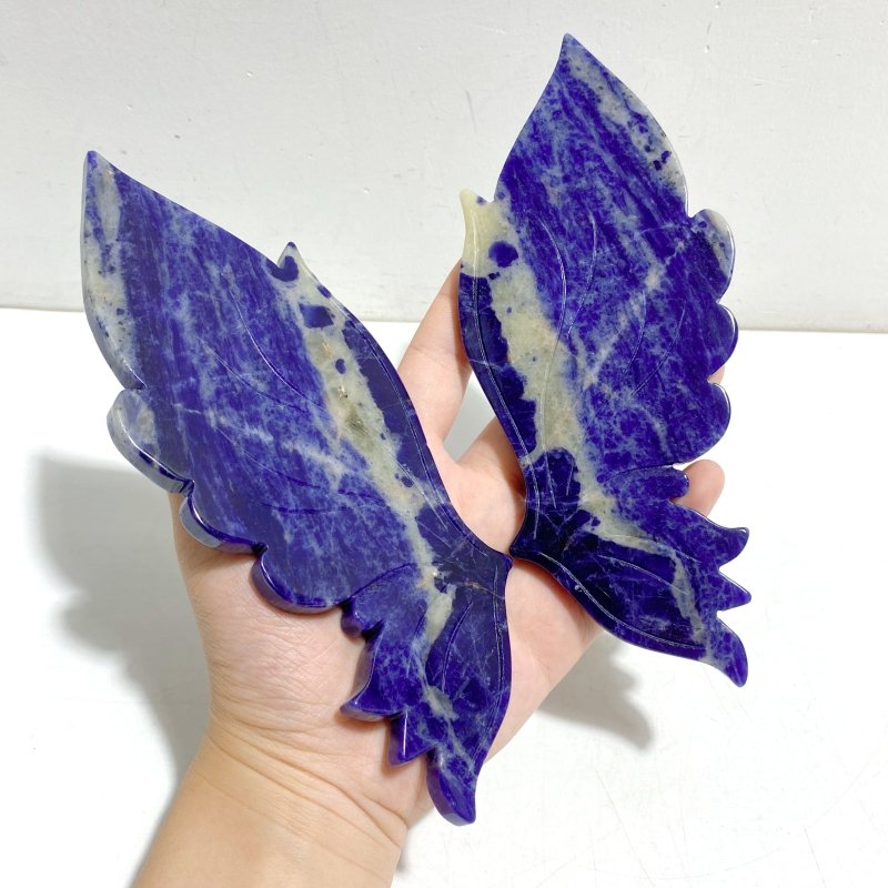 Unique Blue Sodalite Butterfly Wing Carving With Stand - Wholesale Crystals