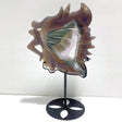 Unique Geode Druzy Agate Butterfly Fairy Carving With Stand - Wholesale Crystals