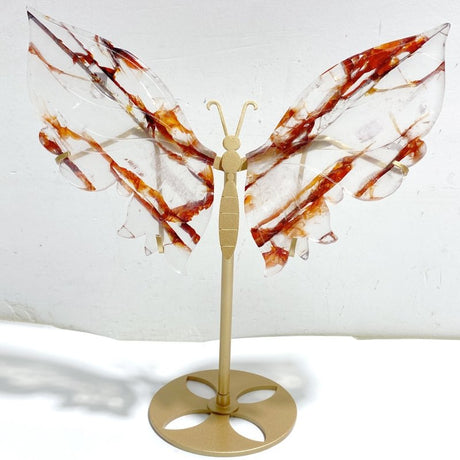Unique Red Fire Quartz Butterfly Wing Carving With Stand -Wholesale Crystals